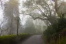 The Pena Park - panoramio